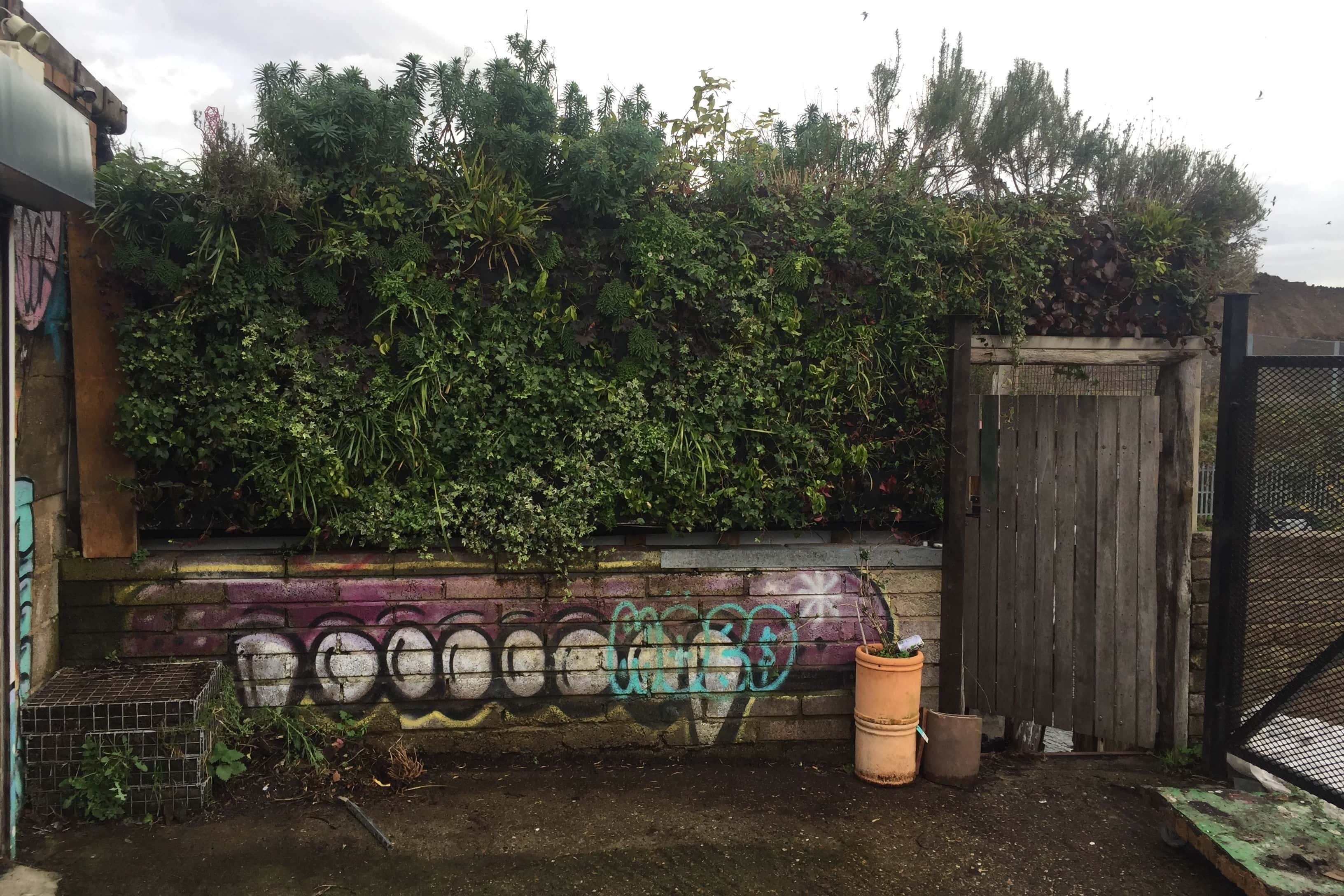 Photography Film Dining 5