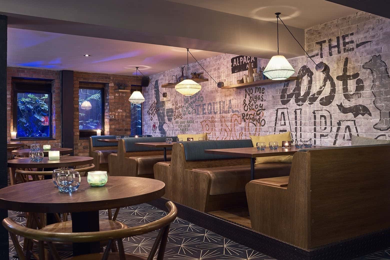 The Lost Alpaca Bar 1