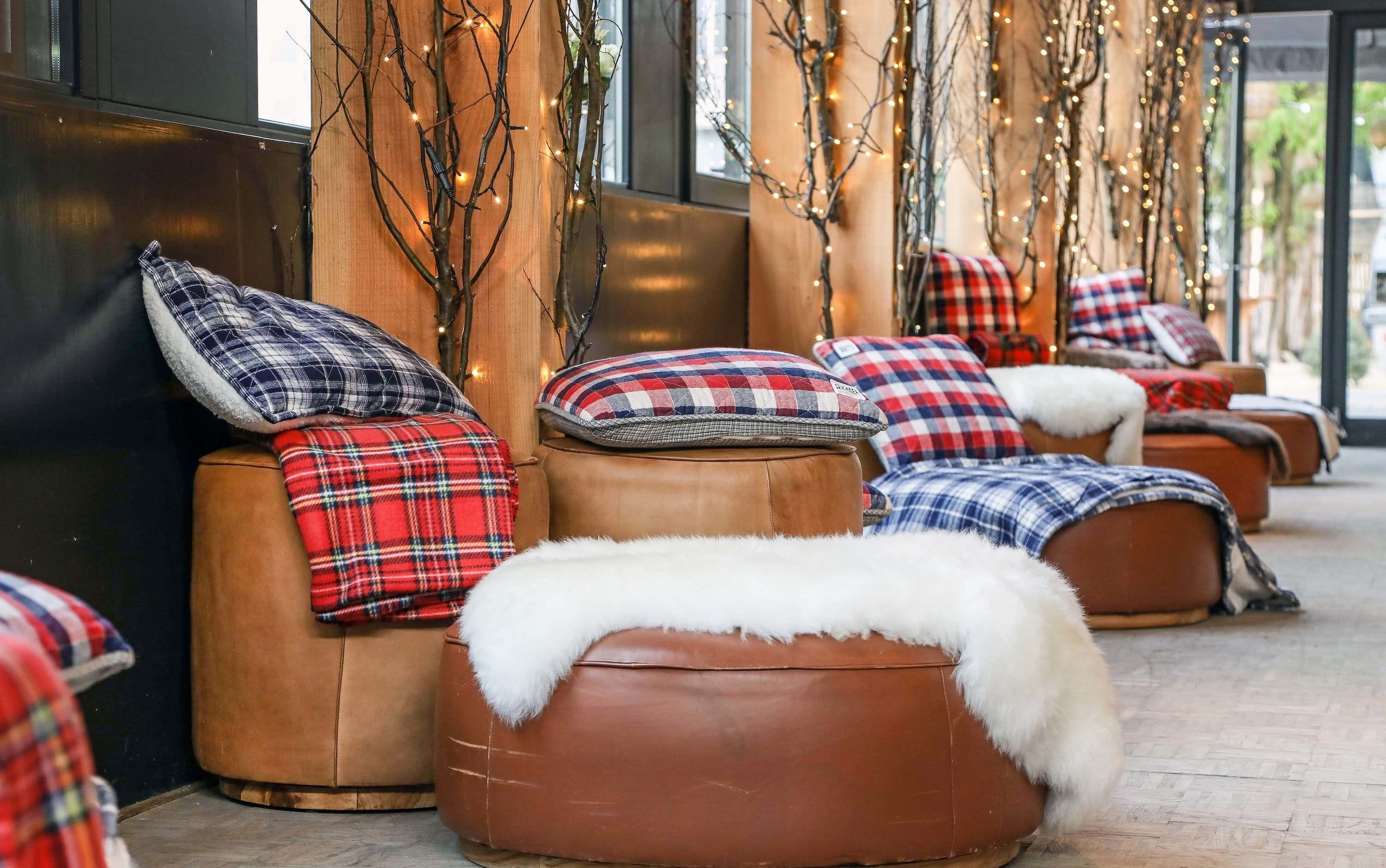 The Mountain House 1