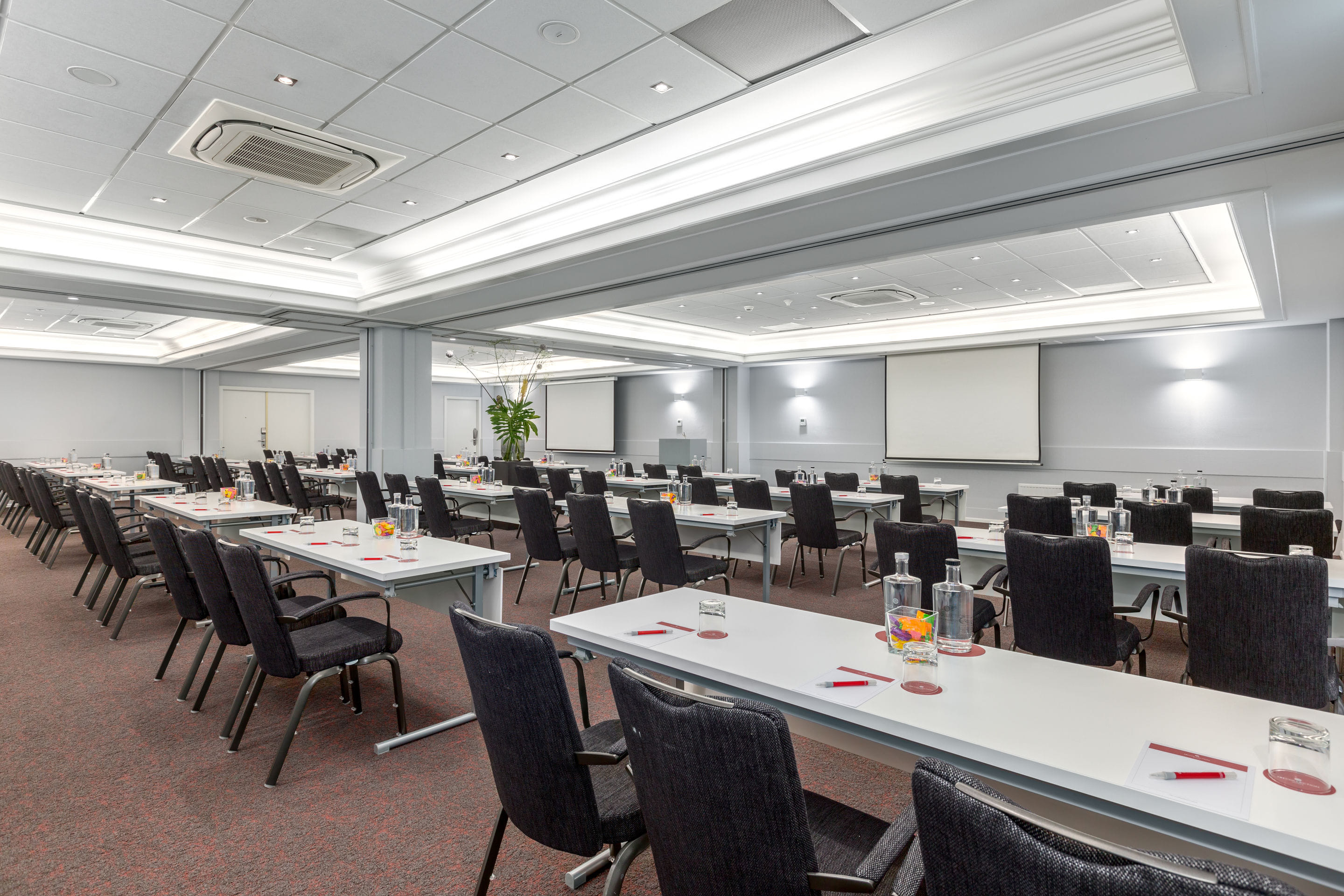 Ferdinand Room 1, 2, 3, 4