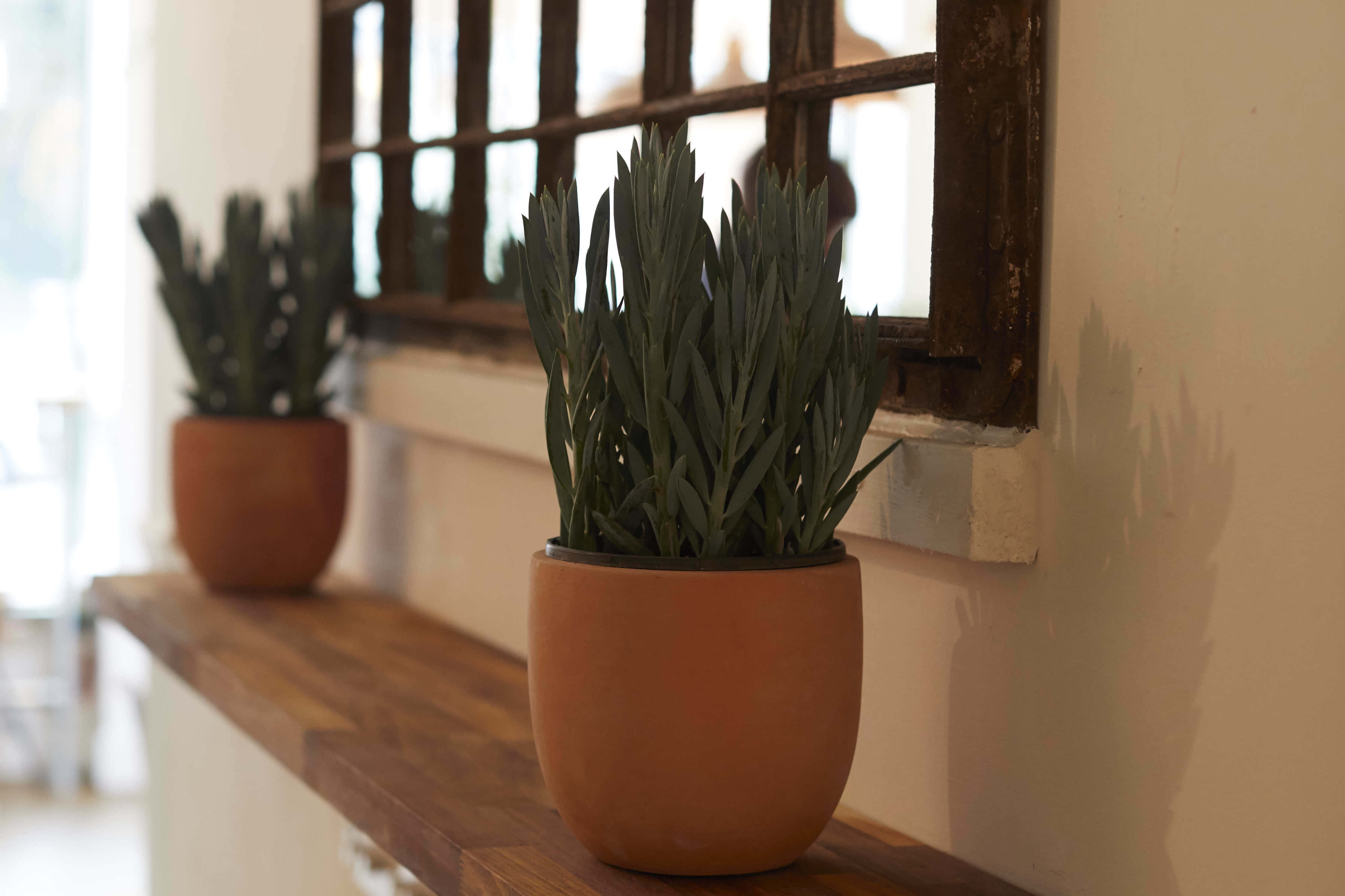 Dining Room and Bar 17