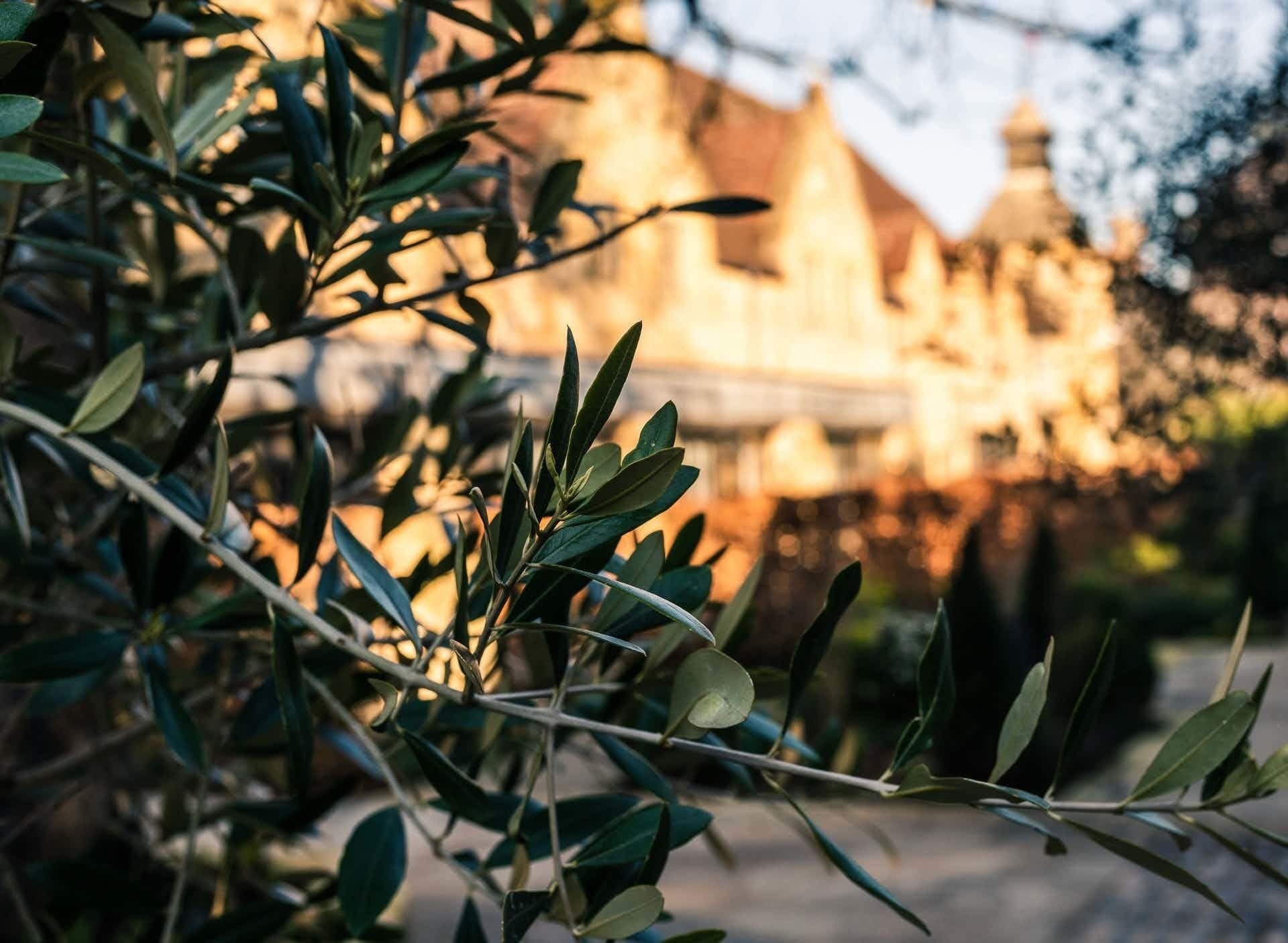 The Edinburgh Room 1