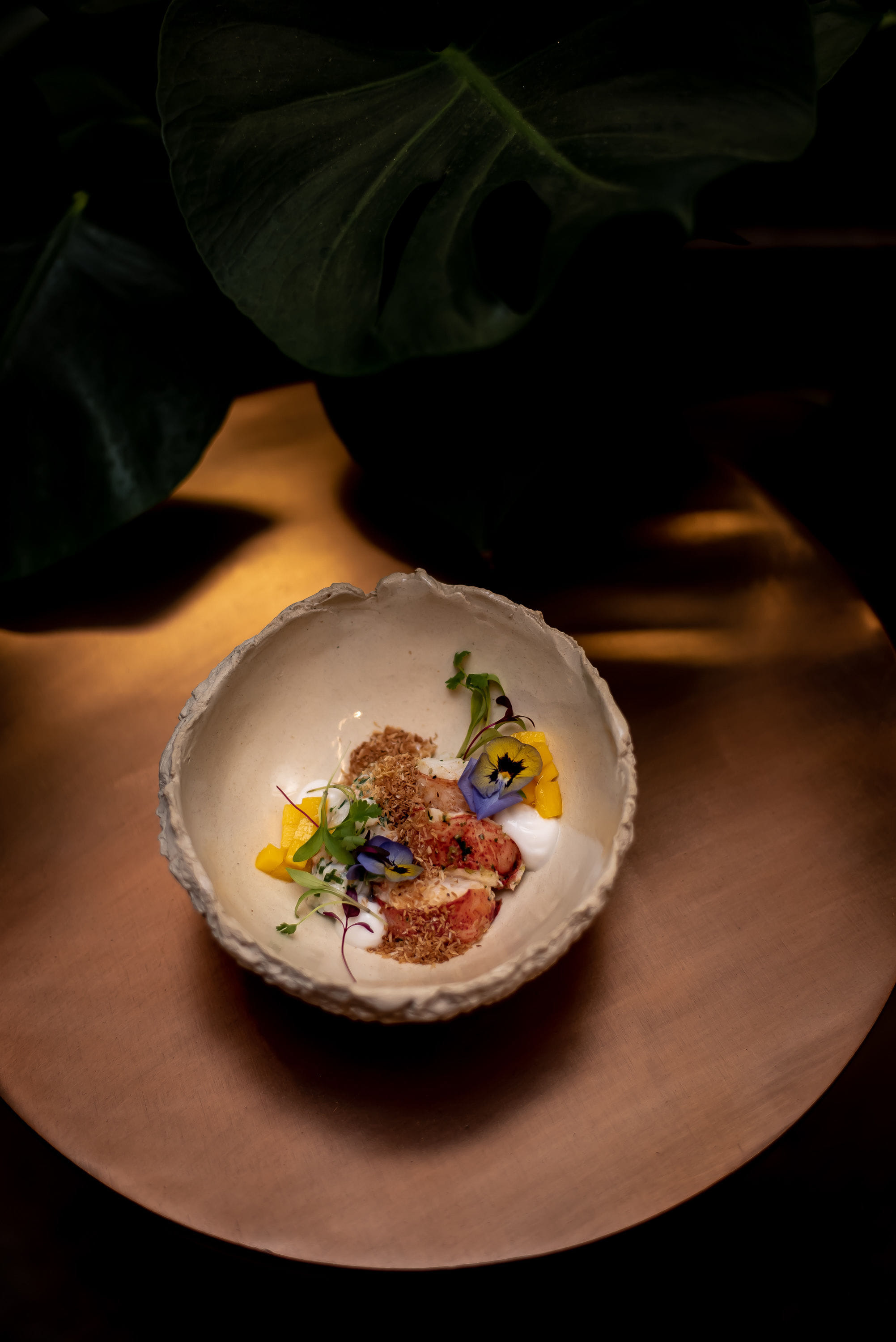 The Wild Monkey Bar 1