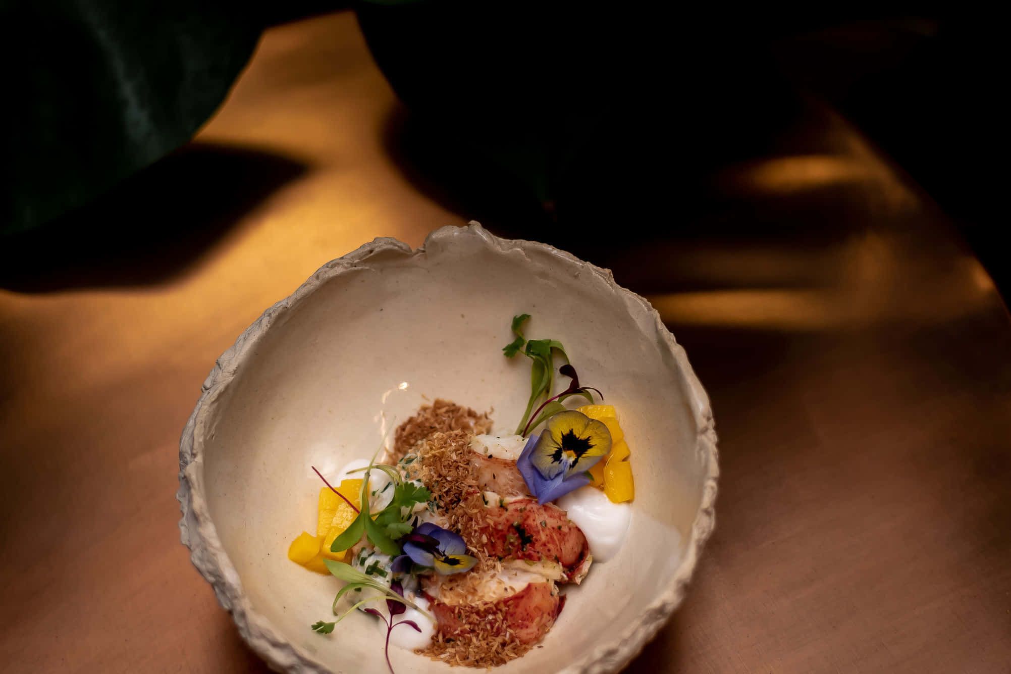 The Wild Monkey Bar 1