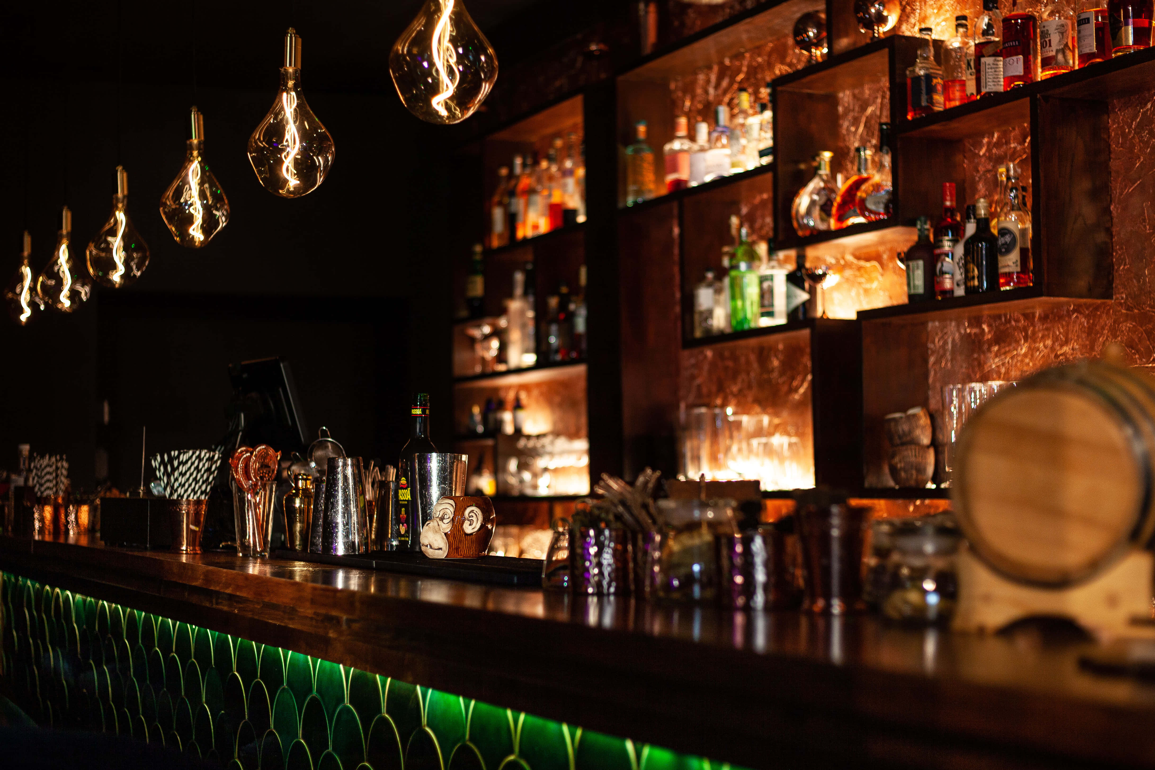 The Wild Monkey Bar 0