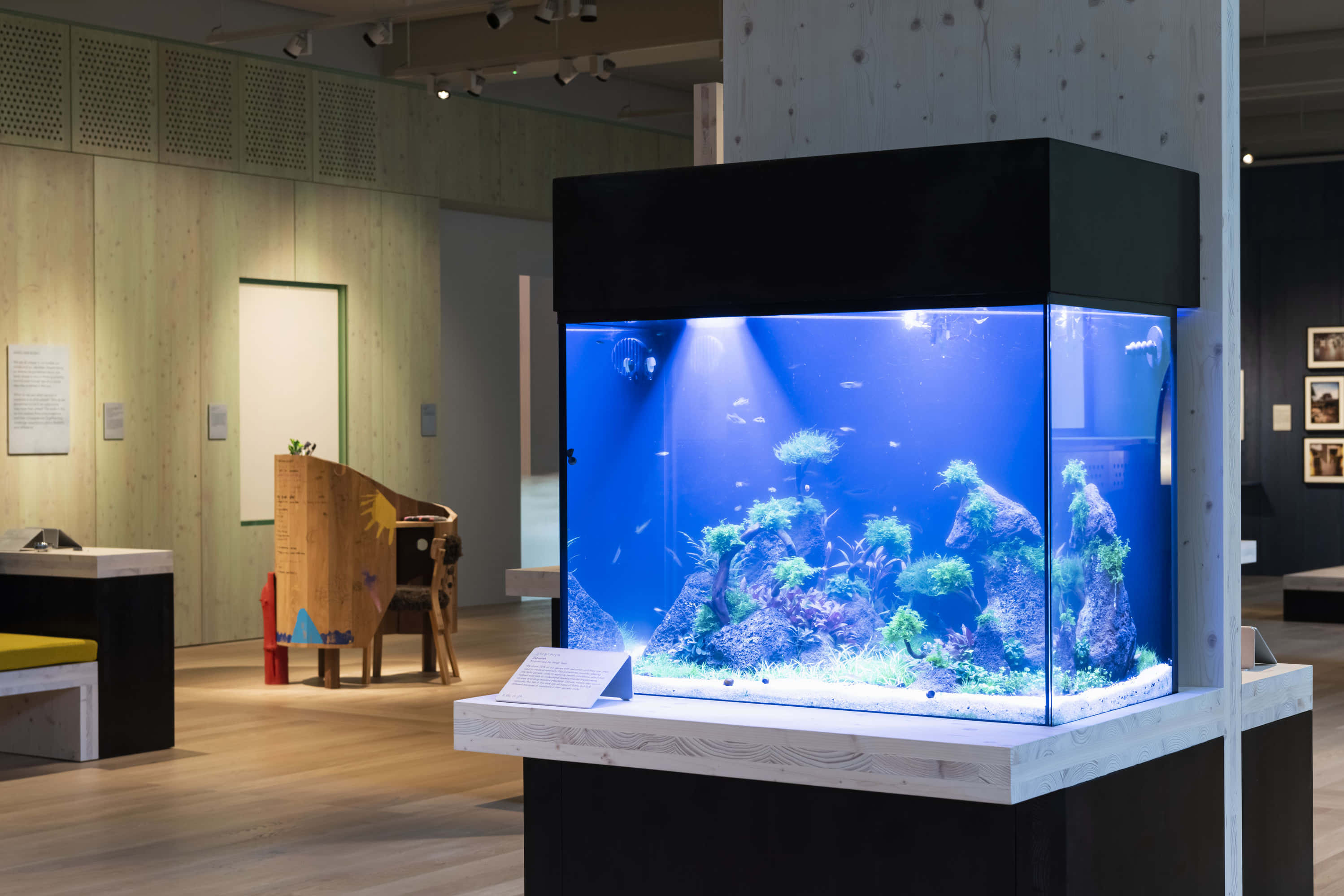 Being Human Gallery 4