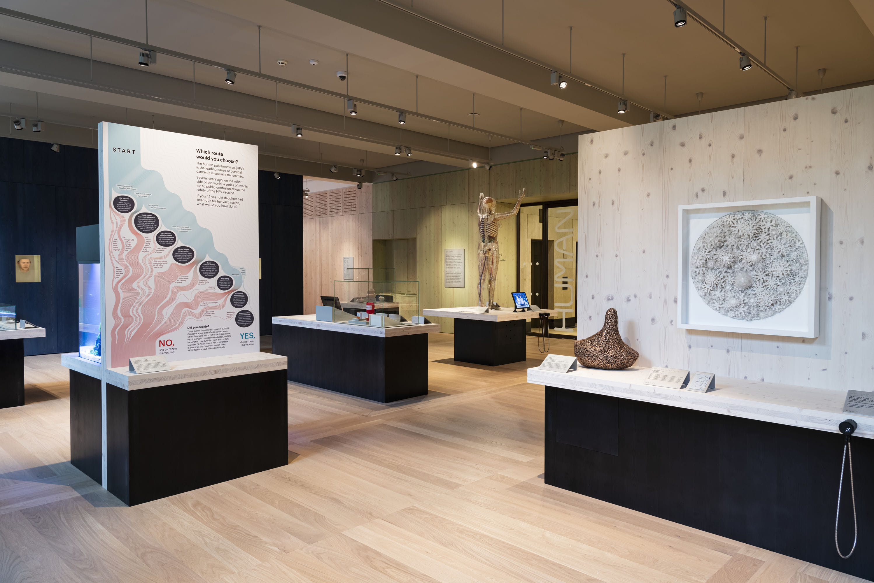 Being Human Gallery 5