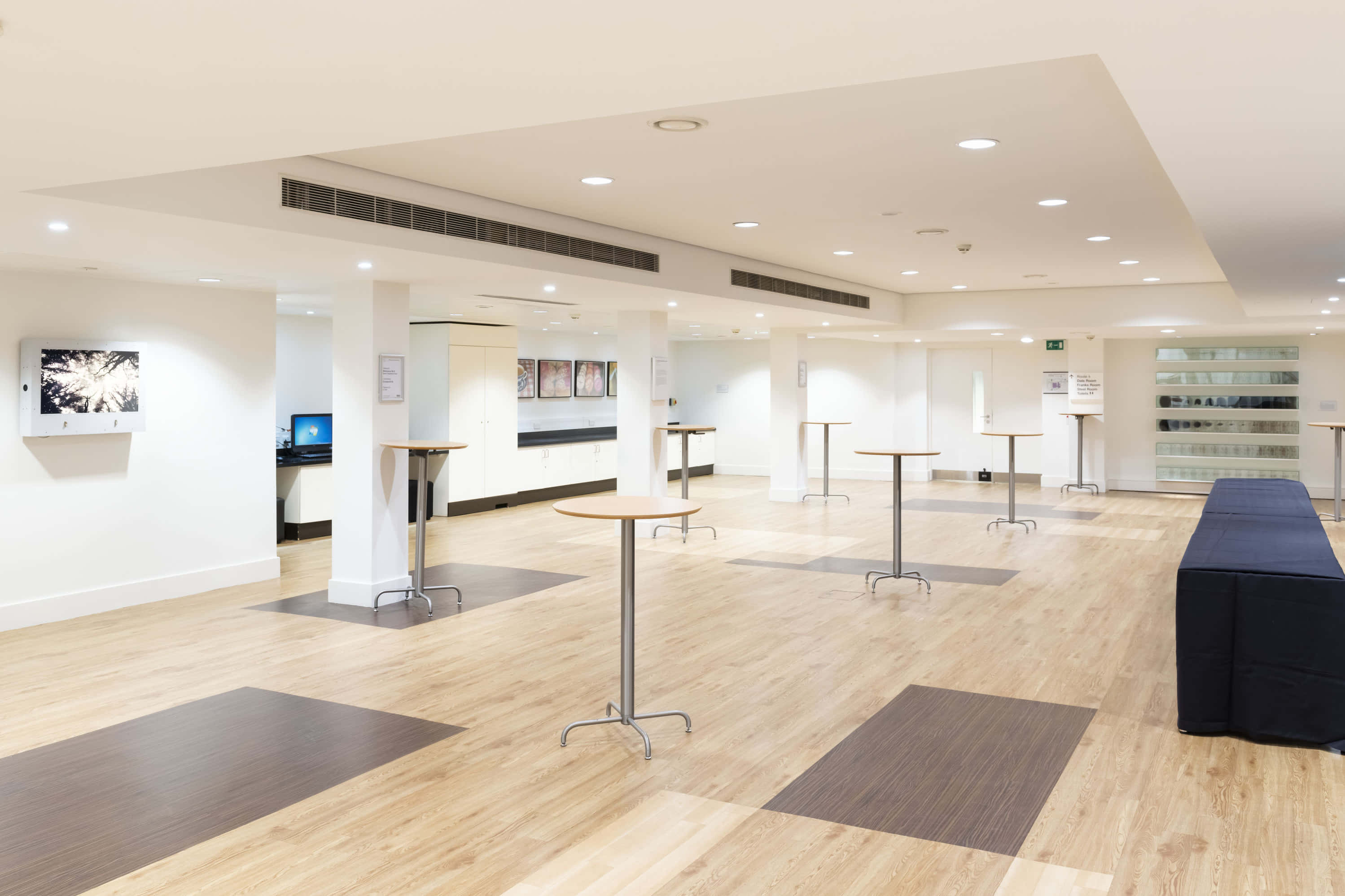 Henry Wellcome Auditorium 6