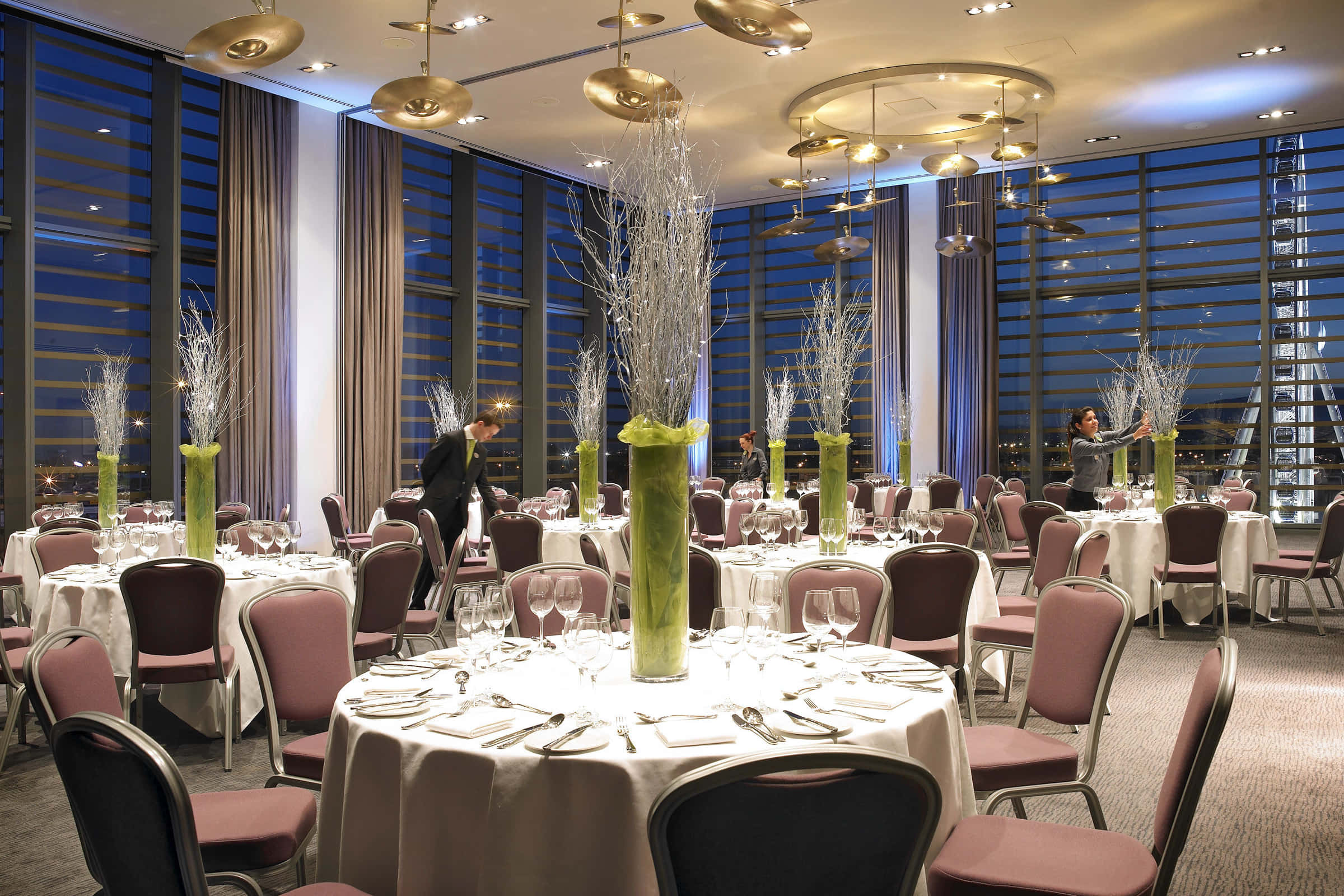 Stratocaster Suite 4